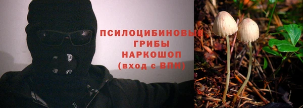 прущий лед Балахна