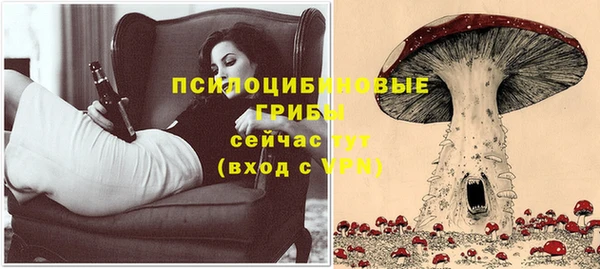прущий лед Балахна