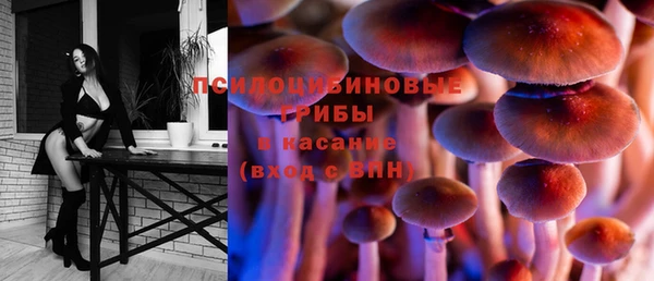 прущий лед Балахна