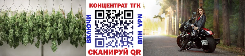 OMG как войти Протвино Дистиллят ТГК гашишное масло дарнет шоп