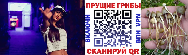 Галлюциногенные грибы мухоморы Протвино